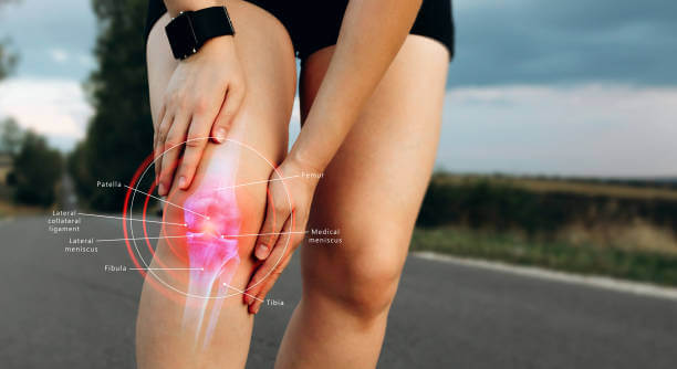 Human Knee joint anatomical diagram, medical scheme. Educational information template